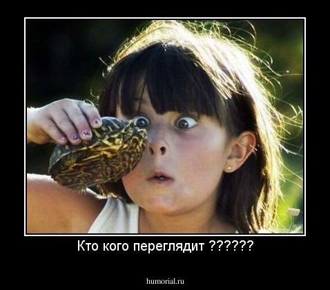 Кто кого переглядит ??????