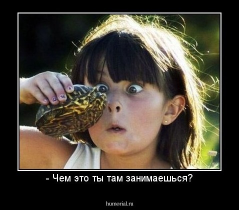 - Чем это ты там занимаешься?