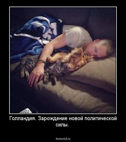 Голландия. Зарождение новой политической силы.