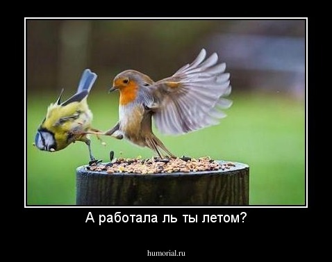 А работала ль ты летом?