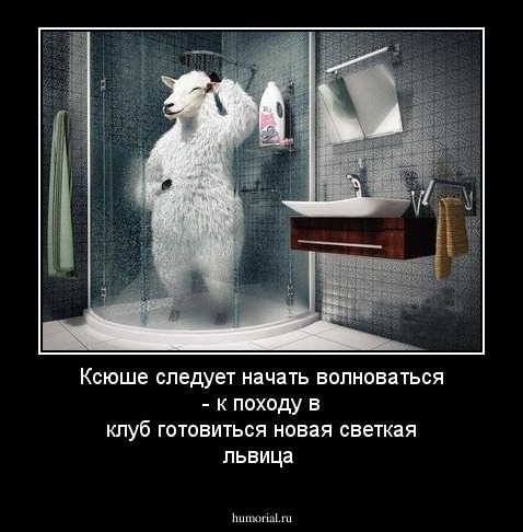 Ксюше следует начать волноваться - к походу в клуб готовиться новая светкая львица