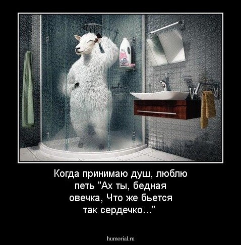Когда принимаю душ, люблю петь "Ах ты, бедная овечка, Что же бьется так сердечко..."