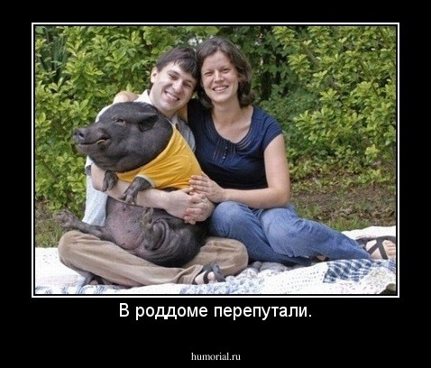 В роддоме перепутали.