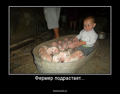 Фермер подрастает...