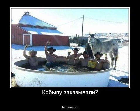 Кобылу заказывали?