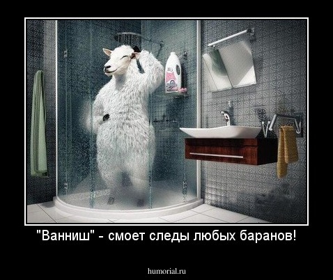 "Ванниш" - смоет следы любых баранов!