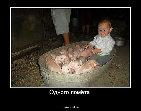Одного помёта.