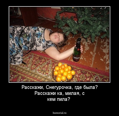 Расскажи, Снегурочка, где была? Расскажи ка, милая,  с кем пила? 