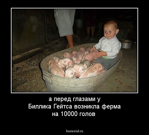 а перед глазами у Биллика Гейтса возникла ферма на 10000 голов