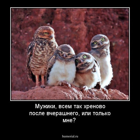 Мужики, всем так хреново после вчерашнего, или только мне?