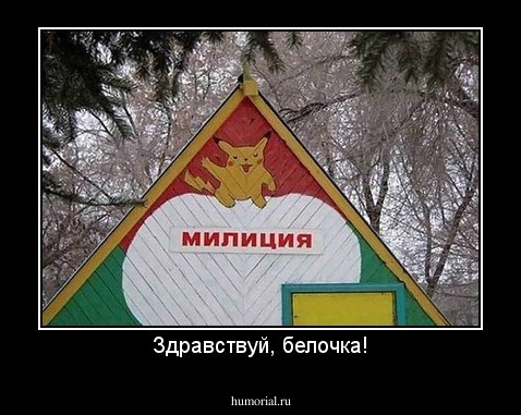 Здравствуй, белочка!