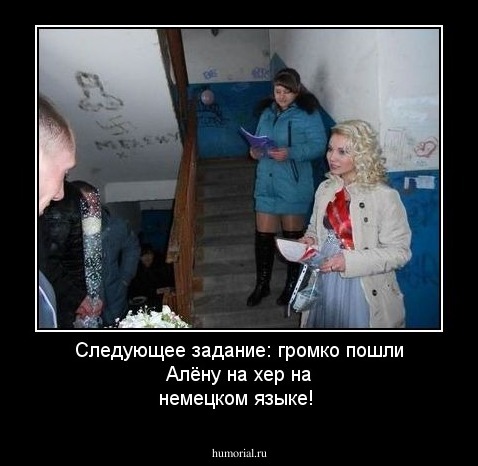 Следующее задание: громко пошли Алёну на хер на немецком языке!