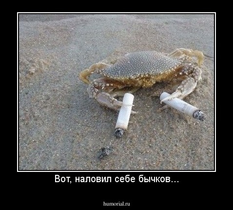 Вот, наловил себе бычков...
