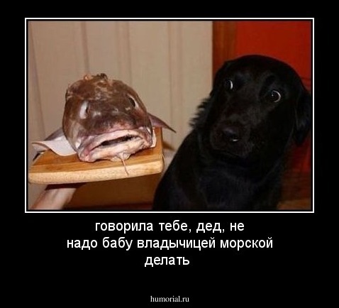 говорила тебе, дед, не надо бабу владычицей морской делать