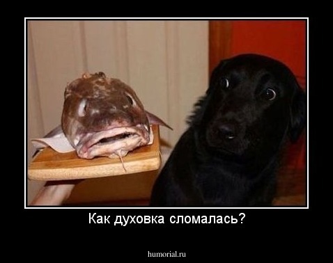 Как духовка сломалась?
