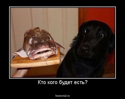Кто кого будет есть?