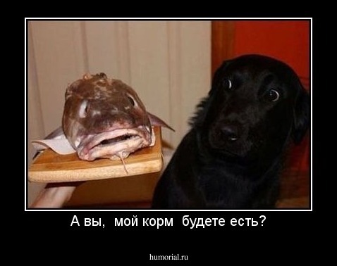 А вы,  мой корм  будете есть?