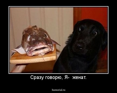 Сразу говорю, Я-  женат.