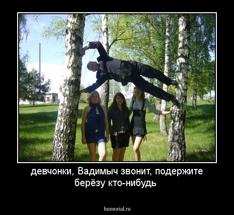 девчонки, Вадимыч звонит, подержите берёзу кто-нибудь