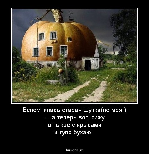 Вспомнилась старая шутка(не моя!)     -...а теперь вот, сижу в тыкве с крысами и тупо бухаю.