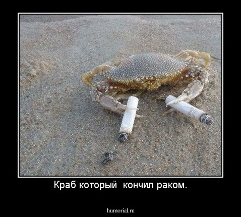 Краб который  кончил раком.