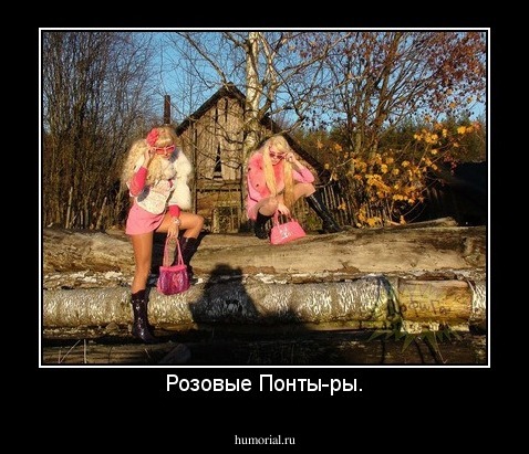 Розовые Понты-ры.