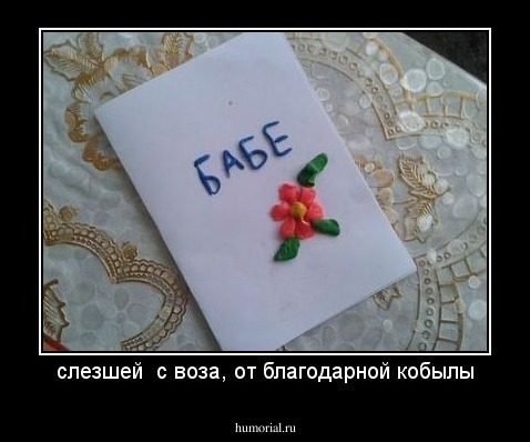  слезшей  с воза, от благодарной кобылы 