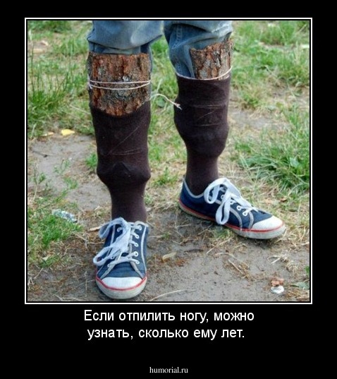 Если отпилить ногу, можно узнать, сколько ему лет.