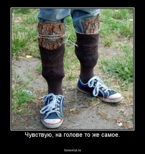 Чувствую, на голове то же самое.