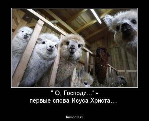 " О, Господи..."  - первые слова Исуса Христа....
