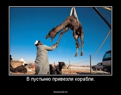 В пустыню привезли корабли.