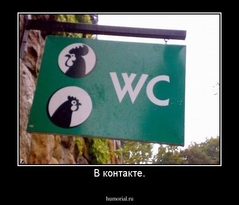 В контакте.