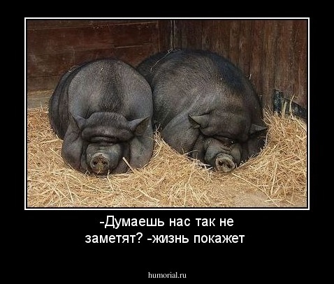 -Думаешь нас так не заметят?             -жизнь покажет                      
