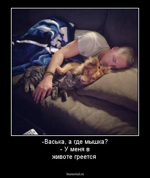 -Васька,  а где мышка? - У меня в животе греется