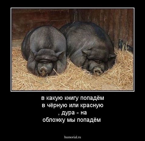 в какую книгу попадём в чёрную или красную , дура - на обложку мы попадём