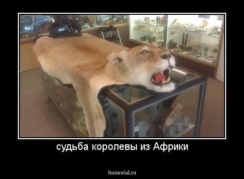 судьба королевы из Африки