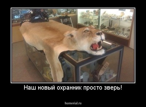 Наш новый охранник просто зверь!