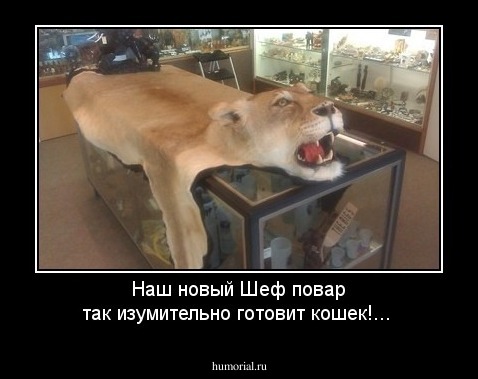 Наш новый Шеф повар так изумительно готовит кошек!...