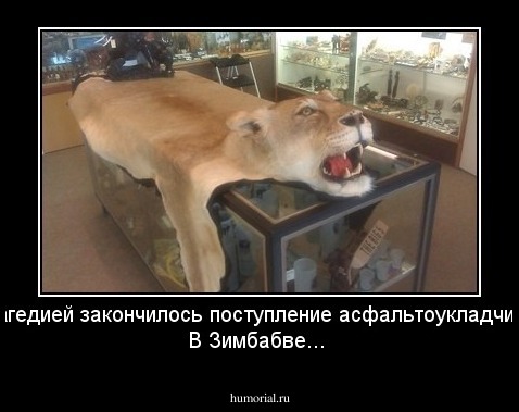 Трагедией закончилось поступление асфальтоукладчиков В Зимбабве...
