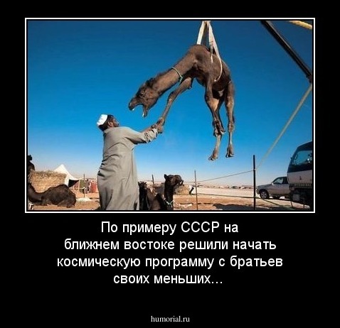 По примеру СССР на ближнем востоке решили начать космическую программу с братьев своих меньших...