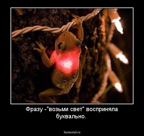 Фразу -"возьми свет" восприняла буквально.
