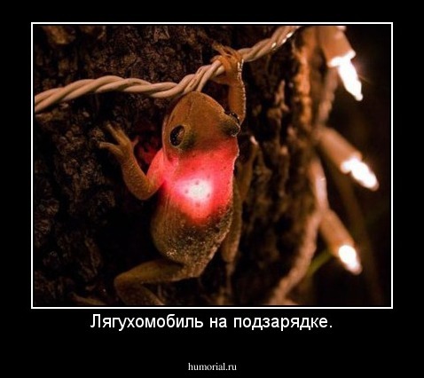 Лягухомобиль на подзарядке.