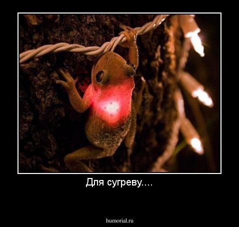 Для сугреву....
