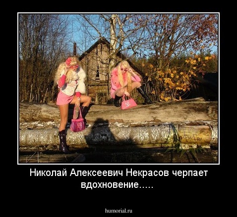 Николай Алексеевич Некрасов черпает вдохновение.....