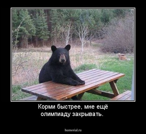 Корми быстрее, мне ещё олимпиаду закрывать.