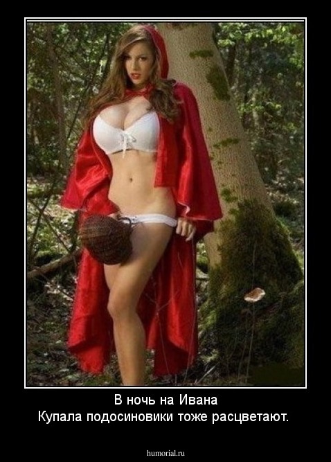 В ночь на Ивана Купала подосиновики тоже расцветают.