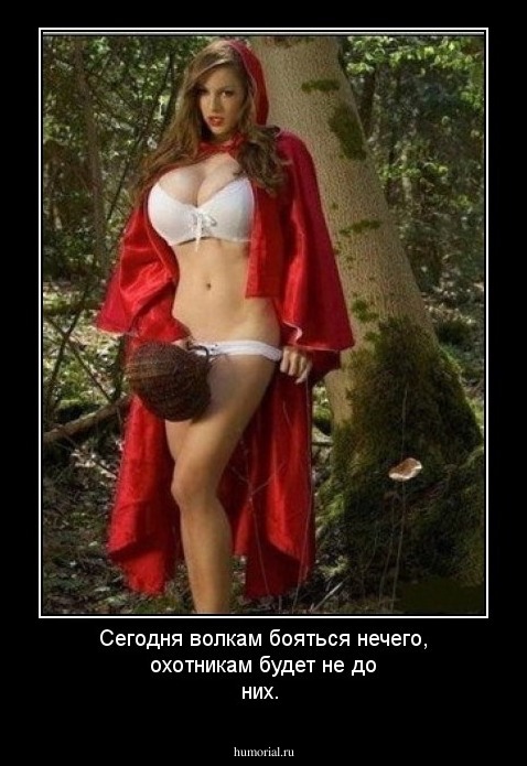 Сегодня волкам бояться нечего, охотникам будет не до них.