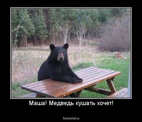Маша! Медведь кушать хочет!