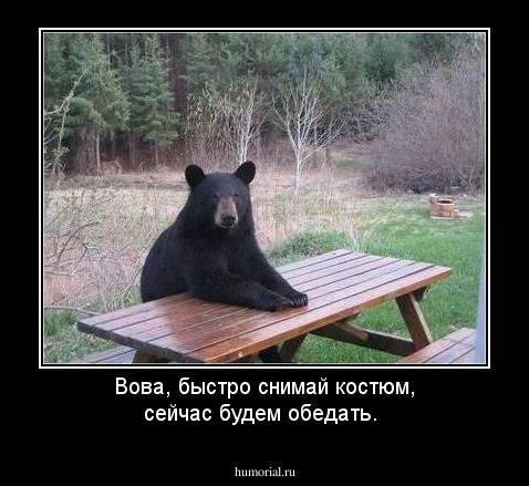 Вова, быстро снимай костюм, сейчас будем обедать.