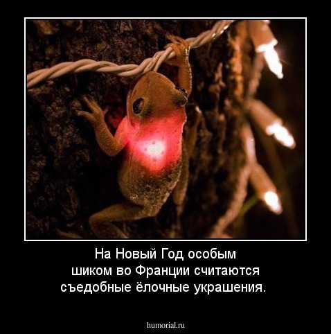 На Новый Год особым шиком во Франции считаются съедобные ёлочные украшения.